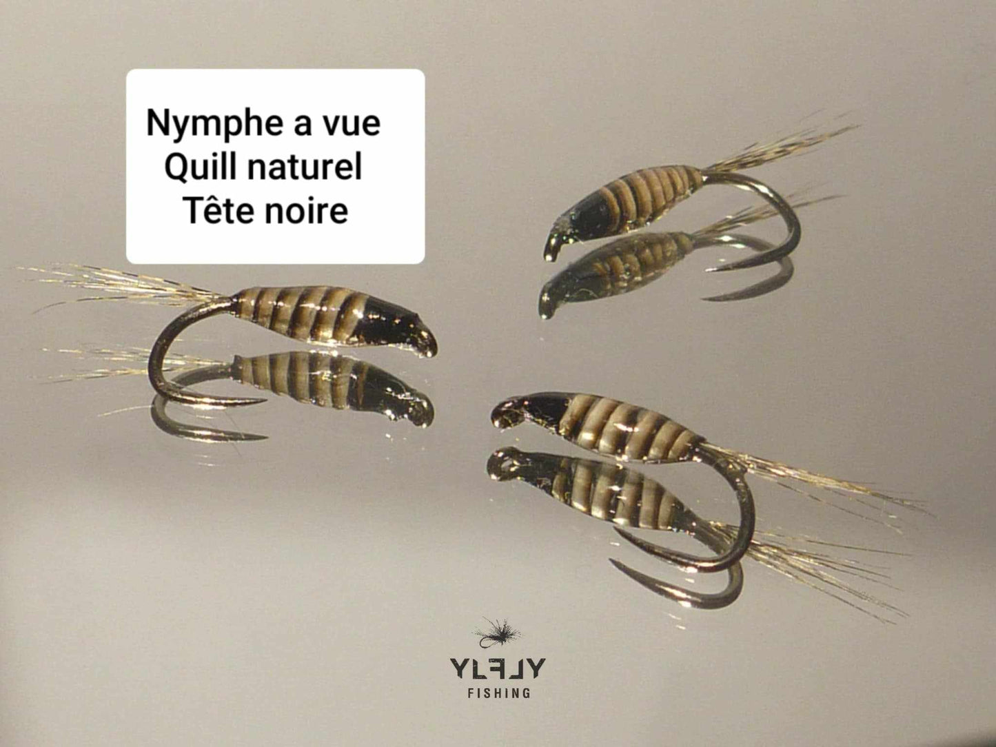 NAV QN