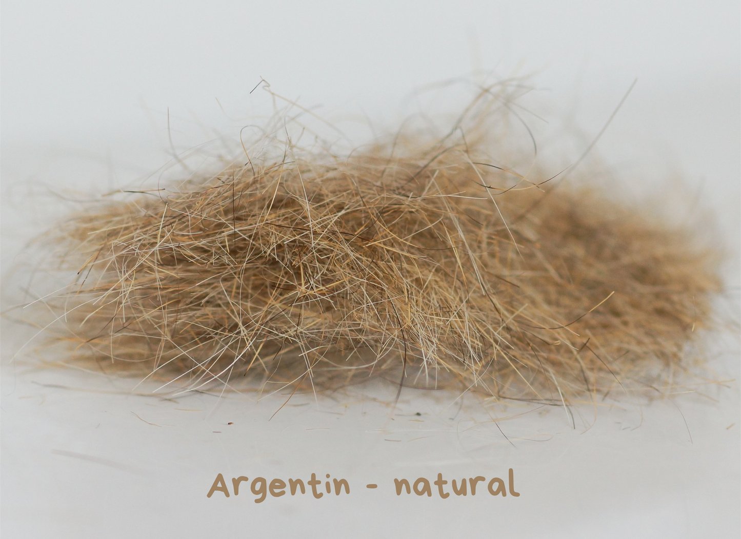 Dubbing de lièvre argentin - Hemingway