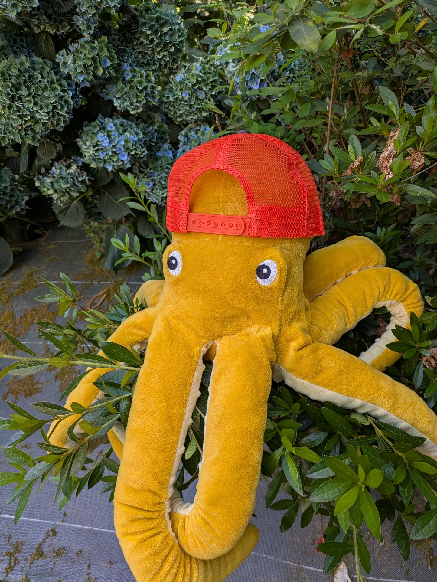 Casquette YLFLY orange / gris ardoise