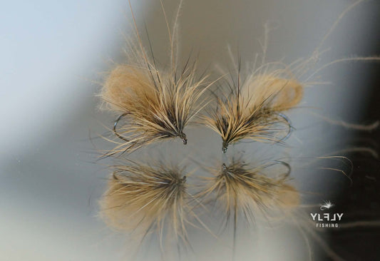 Bubble sedge