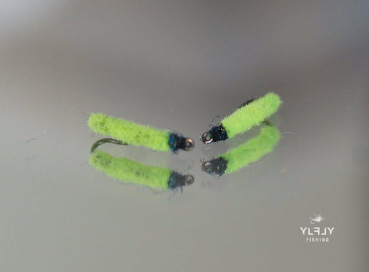 Chenille de Saule sèche