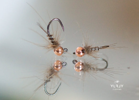 Grisou Jig