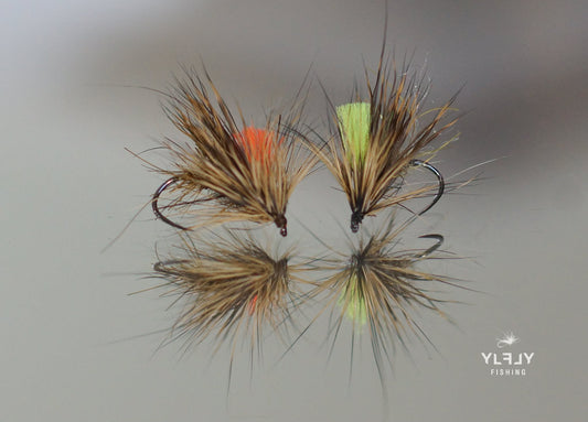 Sedge du Morvan