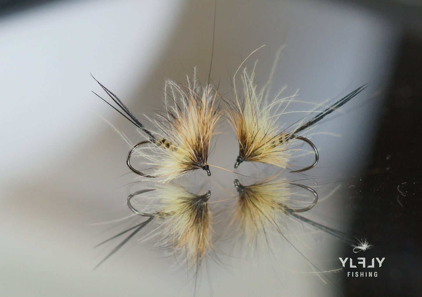 Mouche de mai