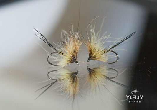 Mouche de mai