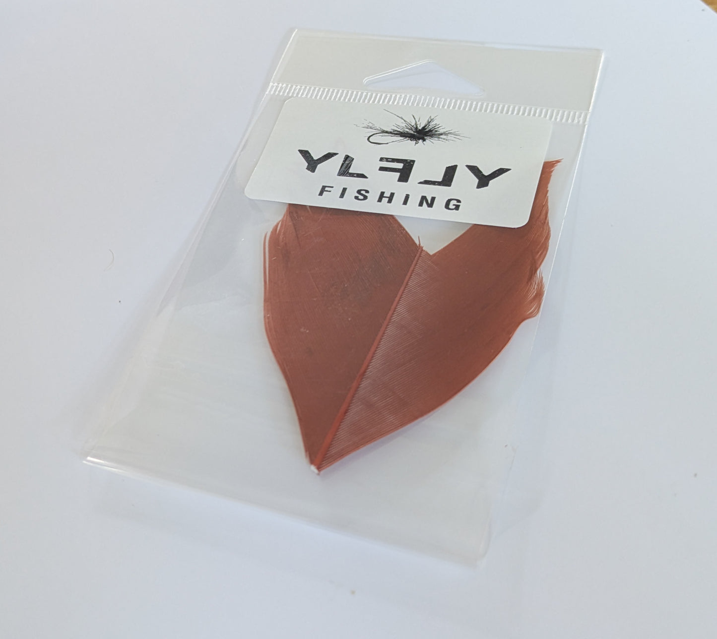 Quill Chocolat Ylflyfishing