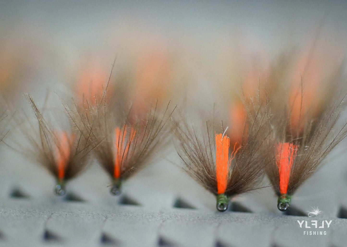 Sélection V lovers (collection des Ailes en V CDC)