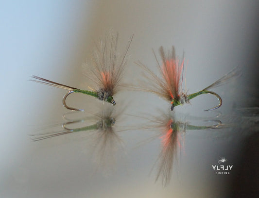 La V Olive (Ailes en V corps olive)