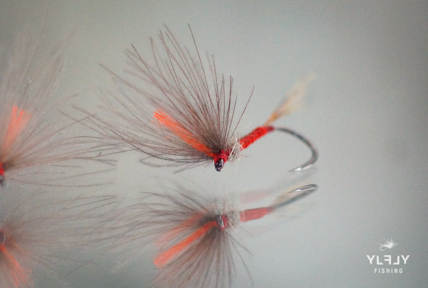 Sélection V lovers (collection des Ailes en V CDC)