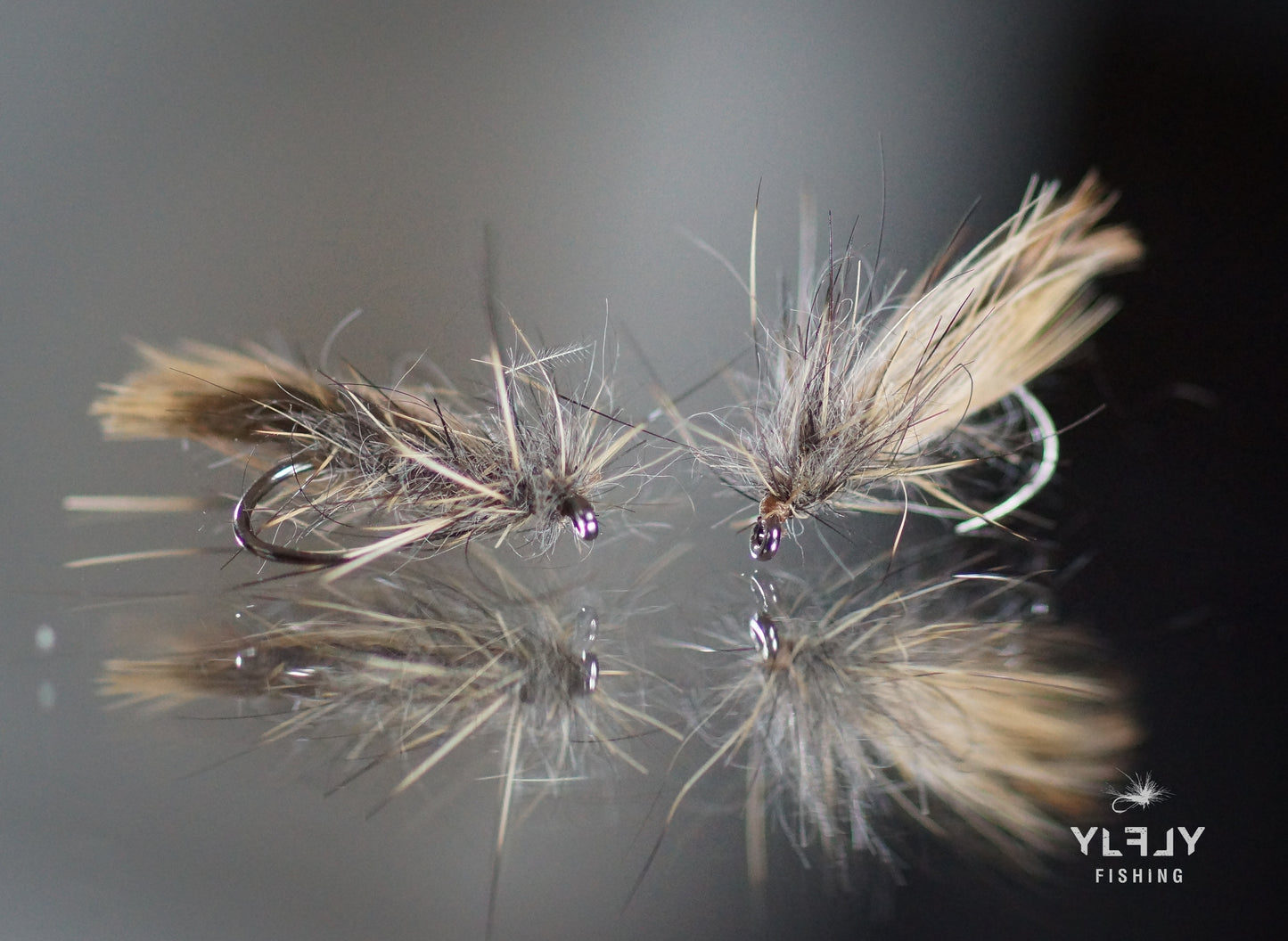 Sedge downunder (sub sedge)